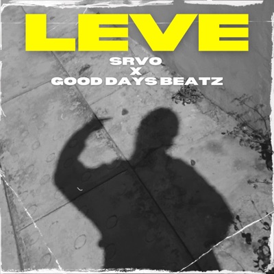 LEVE (feat. Srvo) - Single