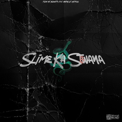 Slime Ka Stswana (feat. Trigger Slump) - Single