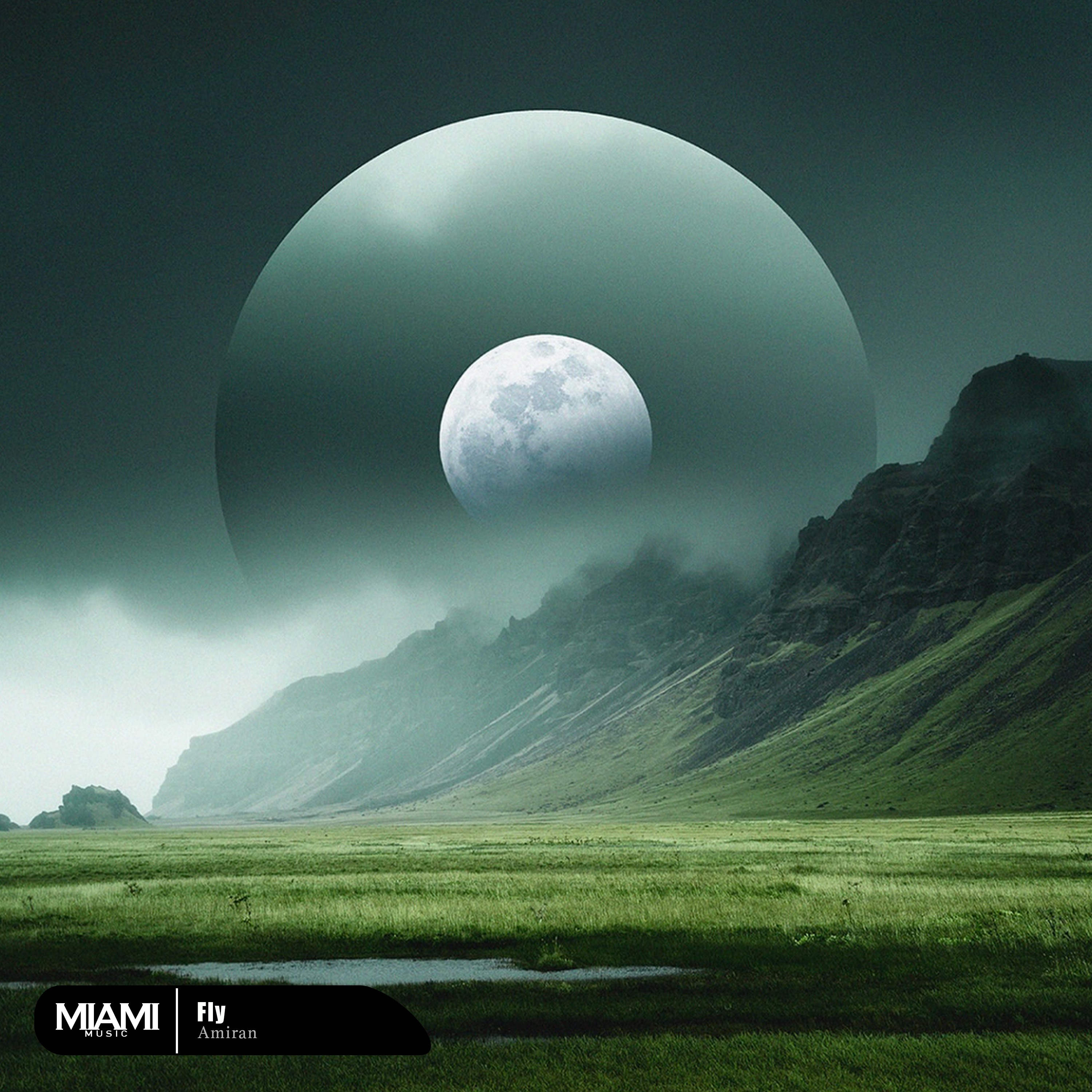 Fly - Single