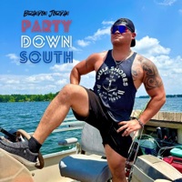 Party Down South - Single - Brandon Jordan