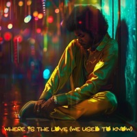 Where Is the Love (We Used to Know) [feat. Tony Mac] - Single - Flamingo Cartel, DJ TARO & Gray Cat