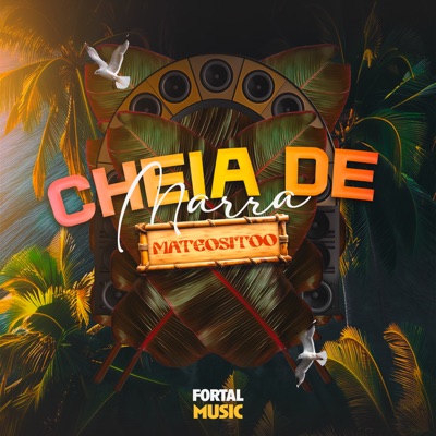 Cheia de Marra (feat. MC LIVINHO) [Remix] - Single