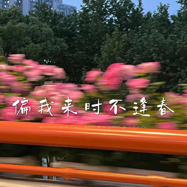 偏我来时不逢春 - Single