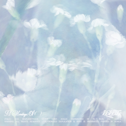 The 1st Album 'A Montage of ( )' - VIVIZ Cover Art
