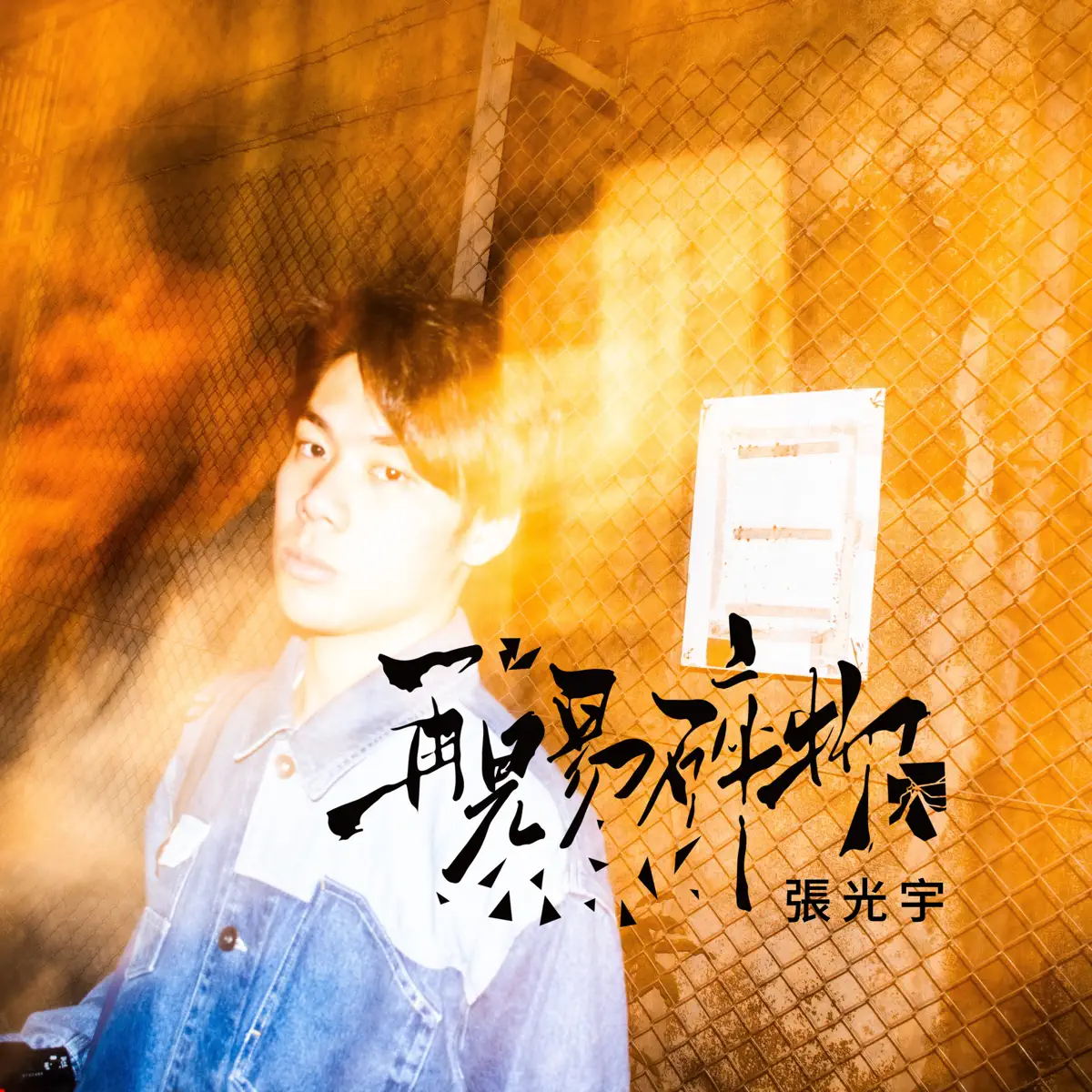 張光宇 Ian Heriec - 再見易碎物 - Single (2025) [iTunes Plus AAC M4A]-新房子