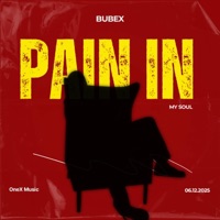 PAIN IN MY SOUL - Single - Conrad Bubex
