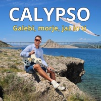 Galebi, morje, jaz in ti