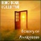 My Soul's Elevation - Echo Soul Collective lyrics