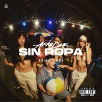 Sin Ropa - Single - Hey Dave & Derek