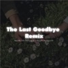 The Last Goodbye Remix - Single