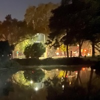 problems - Single - hamltn