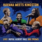 Live at Royal Albert Hall - BBC Proms artwork
