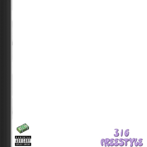 316 freestyle