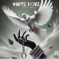 White Dove (feat. Melay) - Single - Razey