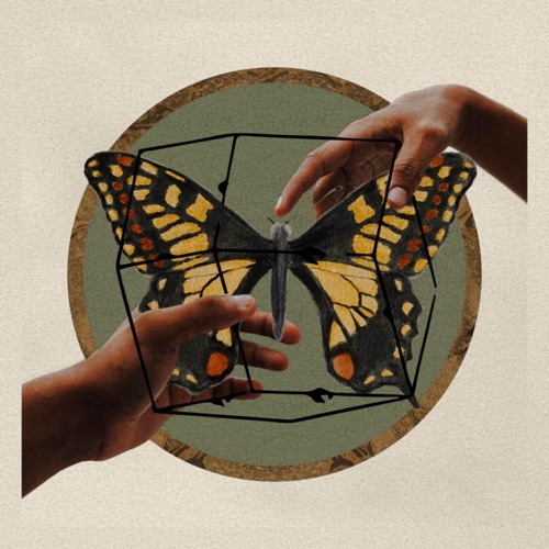 Outside The Box - Single