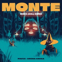 Monte (Rizzo (Col) Remix) - Single - Pauza & Arema Arega