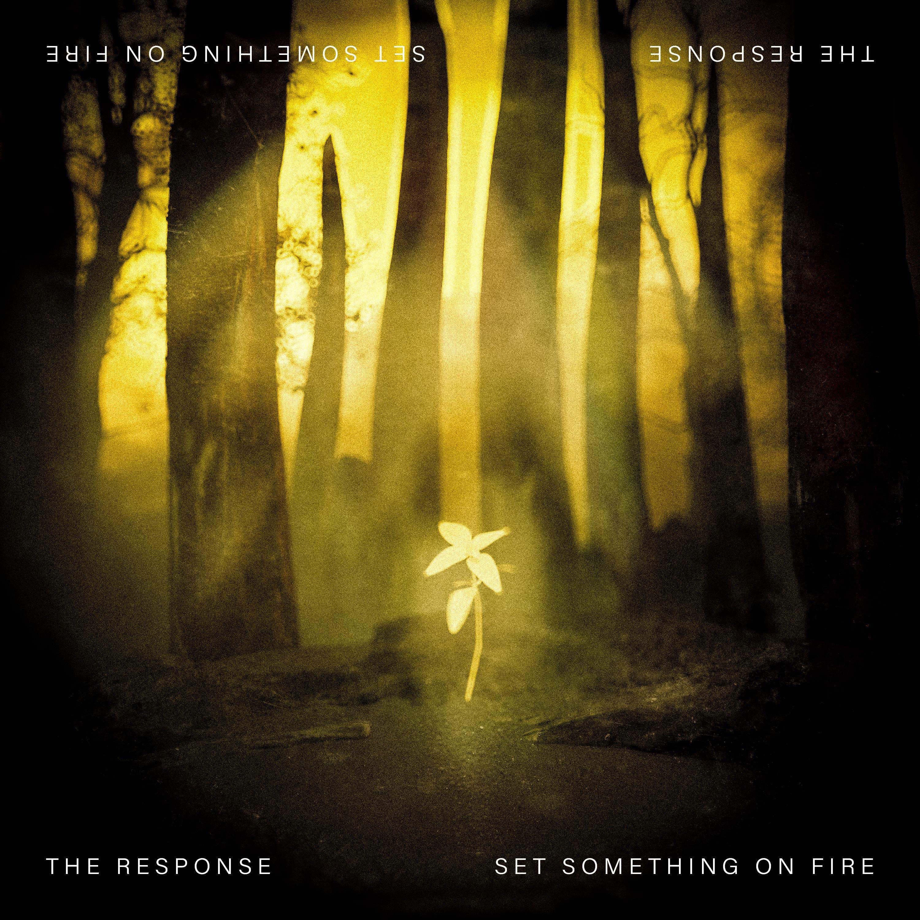 Set Something On Fire - Single