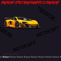 RACECAR SPELT BACKWARDS IS RACECAR - Single - Roizor