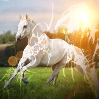 whitehorse (feat. JAAM & KOveso) - Single - 27REEVES