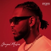 Gouyad Mechan (feat. Dwet Mechan)