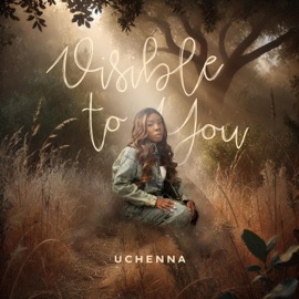 Visible To You Uchenna