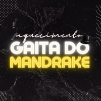 Aquecimento Gaita do Mandrake - Single - O MANDRAKE