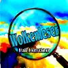 Maik Menschner - Wolkenleser