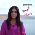 Sebebimsin