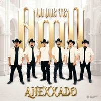 Lo Que Te Amo - Single - Grupo Anexxado