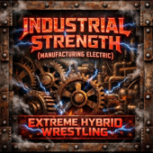 INDUSTRIAL STRENGTH (MANUFACTURING ELECTRIC)