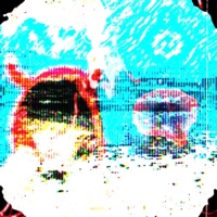 Narben - Single - Lytro