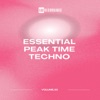 Sellig Hard At Work (Gils Sellig Remix) Essential Peak Time Techno, Vol. 25
