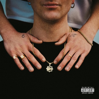 SELLOS DE ORO Y CORDONES