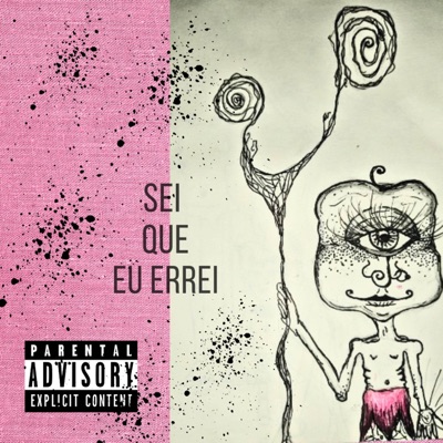 Sei que eu errei - Single