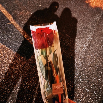 Gentleman (feat. Jamila) - Single