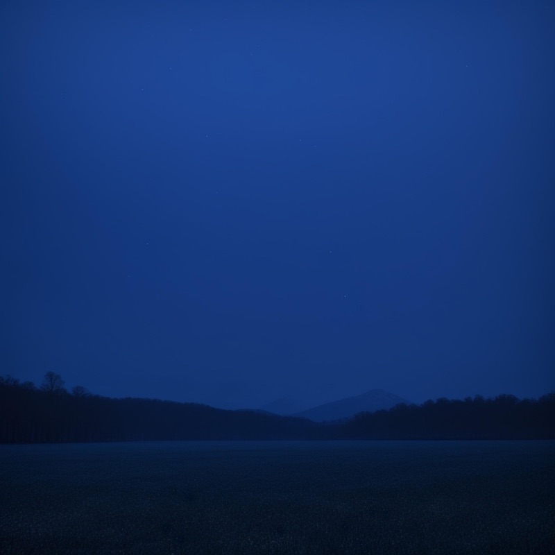 desolate 2 (Sped Up)