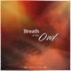 Breath of the Oud - Haytham Kawar