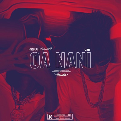 OA NANI (feat. Mobutu satana) - Single