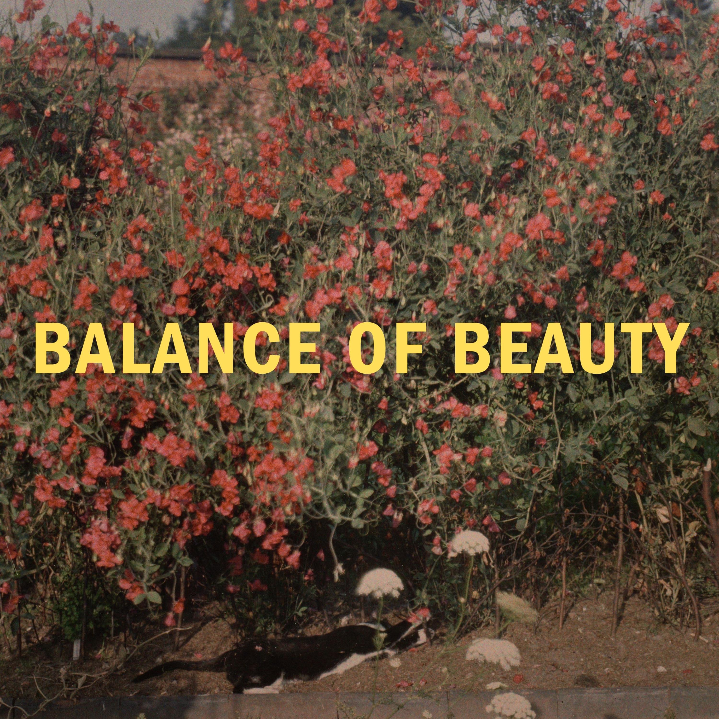 Balance of Beauty - Single