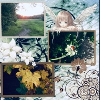 wish (feat. Javacats) - Single - wolo polo