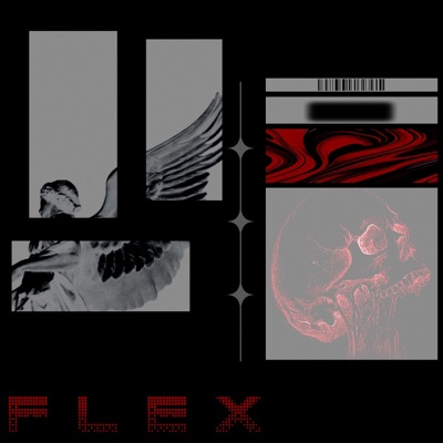 Flex - Single