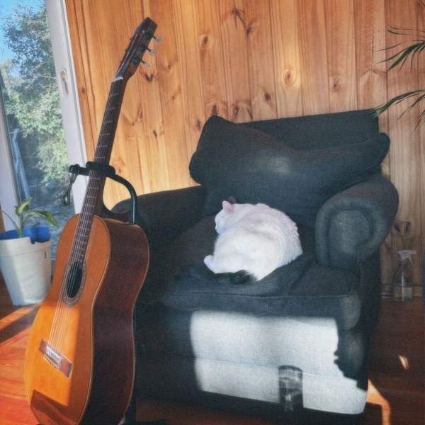 Acústicos (Acústico)