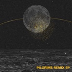 Pilgrims Remix - Single