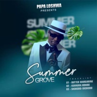 Summer groove - Single - Master H