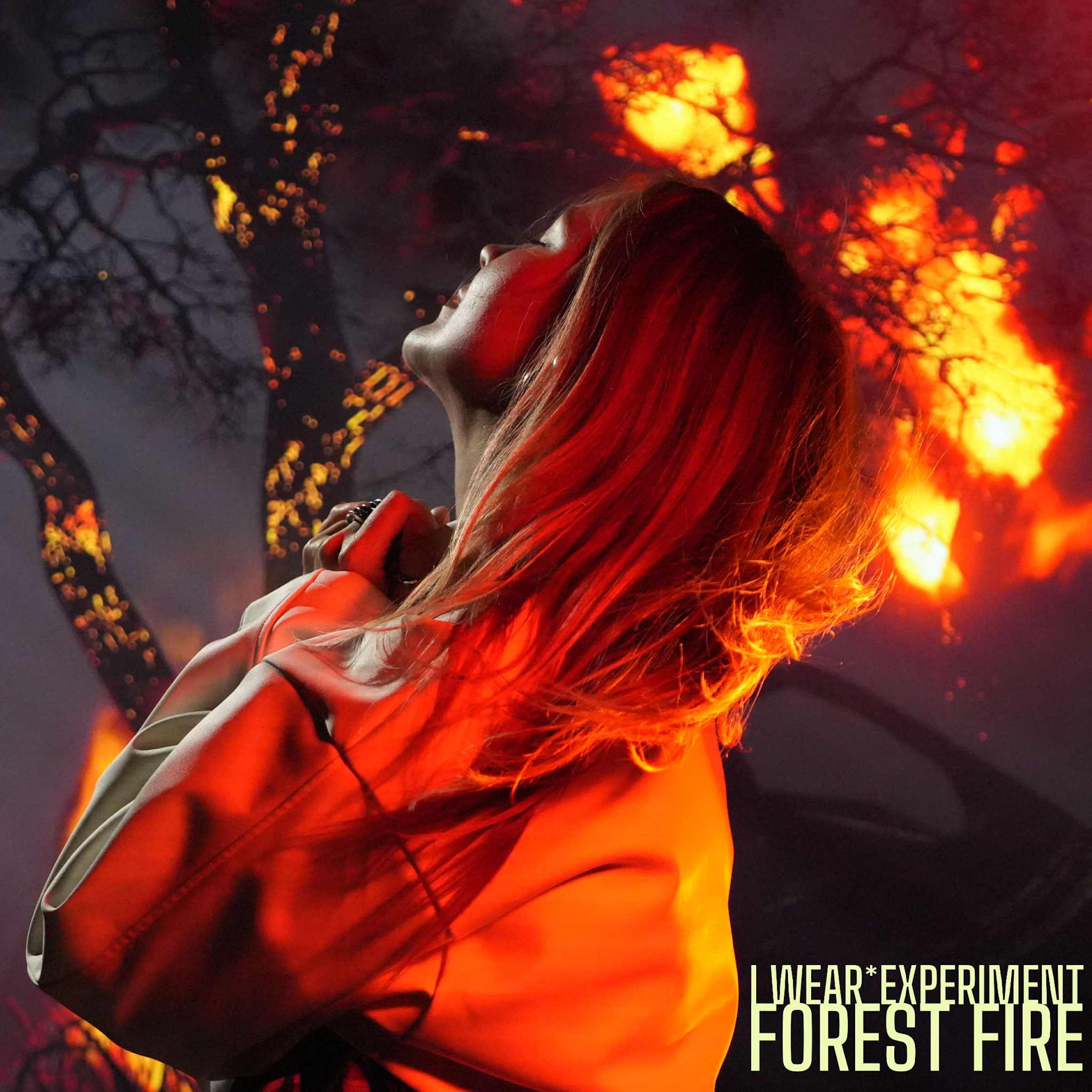 Forest Fire - Single