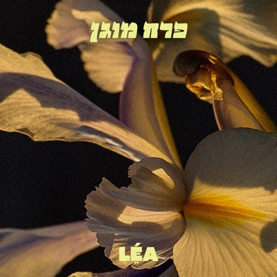 פרח מוגן Perach Mugan - Single