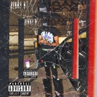 Push Back - Single - Ziggy B