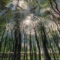 porque (feat. Tutrex, Gouzes & Martin Leib) - Single - manuu!