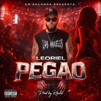 Pegao - Single - Leoriel