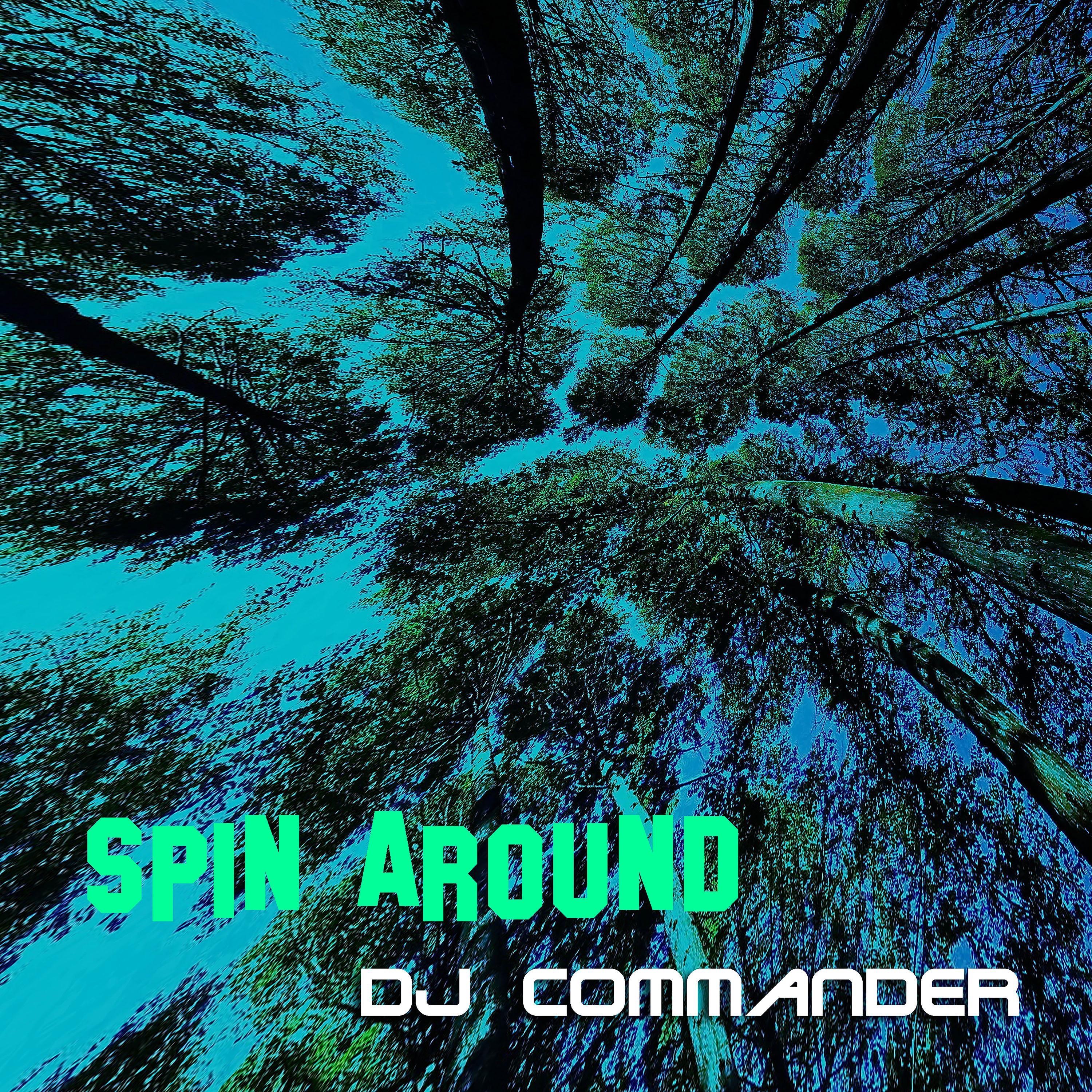 Spin Around - Single